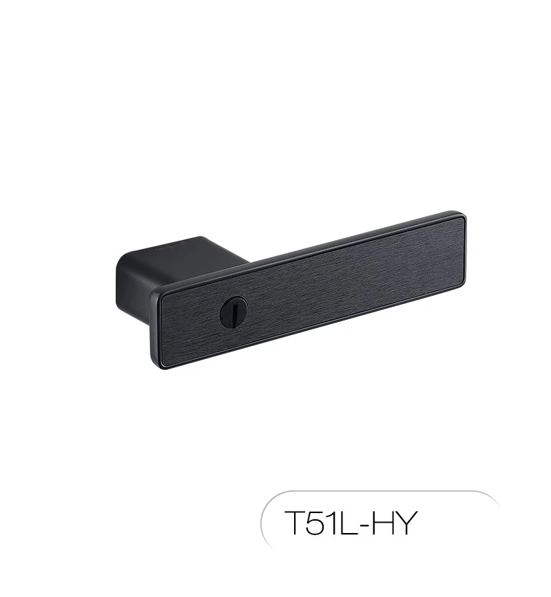 T51 (2) T51 (2)